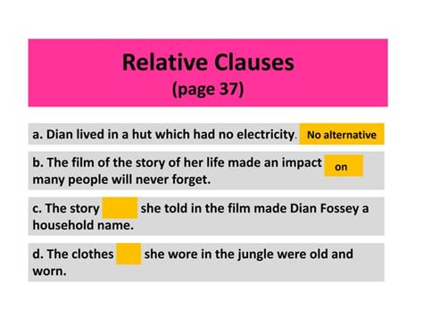 Relative Clausesex Ppt