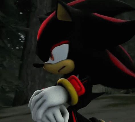 Shadow the Hedgehog in Intense Snarl