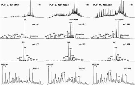 Representative Mass Chromatograms Of Total Ion Current Tic Hopane