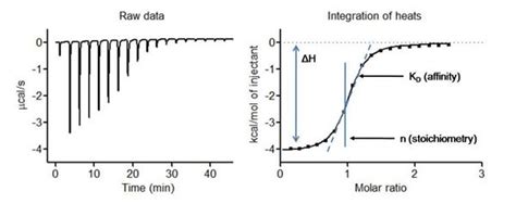 Isothermal Titration Calorimeter | Biophysics Instrumentation Core ...