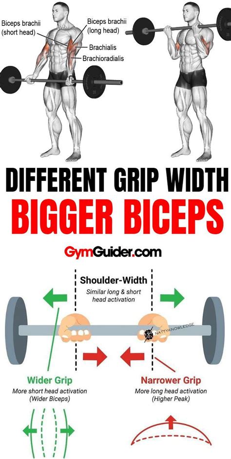 Biceps Workout That Will Have You Bursting Through Your Sleeves