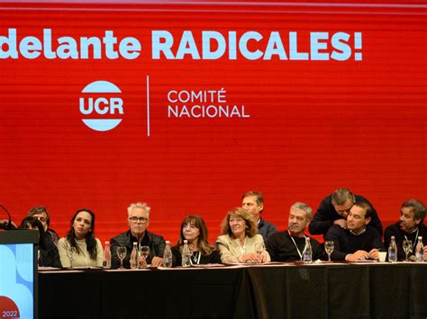 El Pro Y La Coalición Cívica Elogiaron La Decisión De La Ucr De