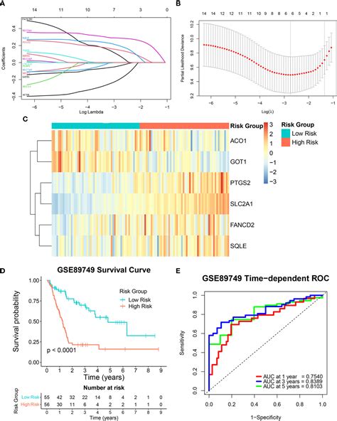 Frontiers Identification And Validation Of A Novel Ferroptosis Related Gene Signature For