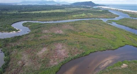 Projeto ambiental Mangues como solução Waves