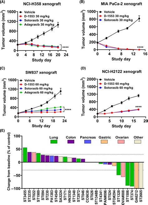 D Is Highly Potent In Vivo In Xenograft Tumor Models With Krasg C