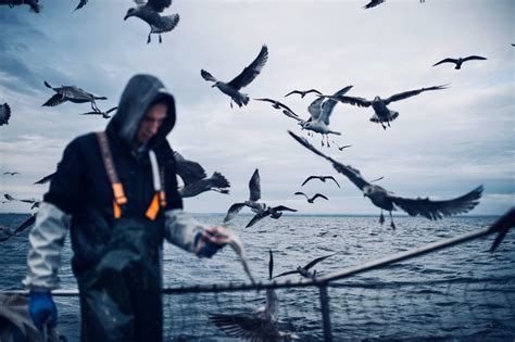 Apoio Ao Arranque Da Atividade De Jovens Pescadores Start Esposende