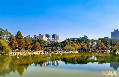 高雄景點║凹仔底森林公園║高雄都市中的小秘境！！不用出遠門，搭著捷運就能享受秋冬限定的落羽松美景 饗食客棧