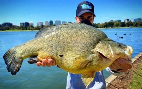 Fishing And Boating Allowed Across Victoria VRFish