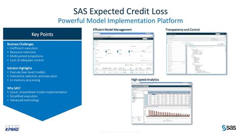 Sas Kpmg Alliance Risk Management Ppt Download