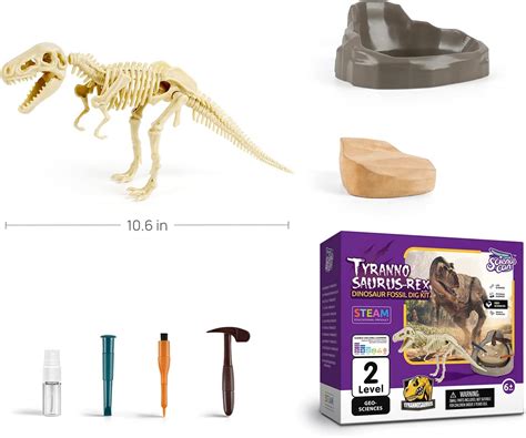 Science Can T Rex Kit de excavación de dinosaurios para niños kit de