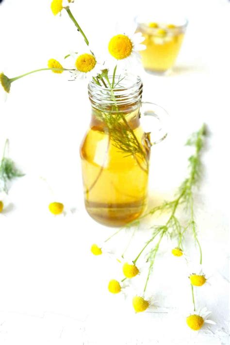 Chamomile Flower Meaning in the language of flowers - SimplyBeyondHerbs