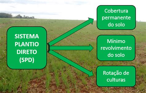 Sistema De Plantio Direto Benef Cios Do Para A Lavoura