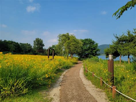 남양주 다산생태공원 서울근교 힐링명소는 바로 여기 네이버 블로그