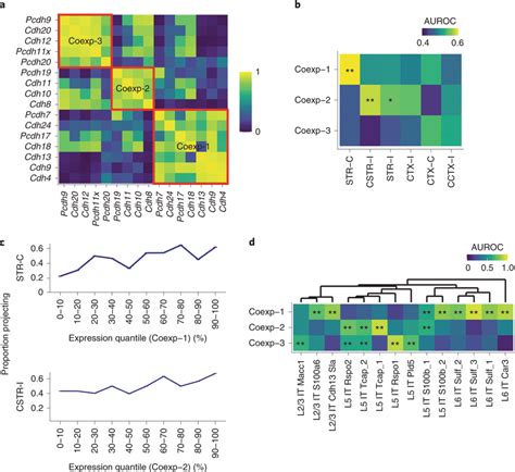 Gene Coexpression Modules Correlate With Diverse Projections Of It