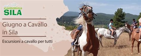 Calendario Di Luglio Escursione A Cavallo In Sila Camminasila