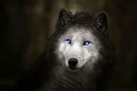 Wolf Eye Desktop Wallpapers - Wallpaper Cave