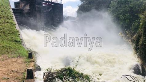 Rides In The Wild Padaviya Tank Overflow Anuradhapura Youtube