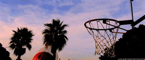 basketball hoop basketball gif | WiffleGif