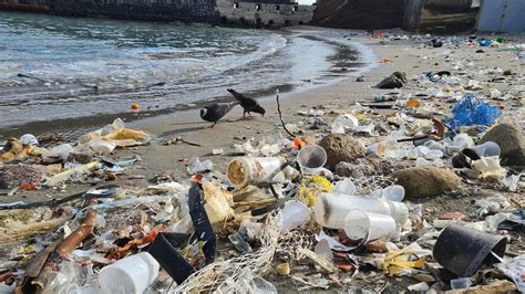 Arrivano Ancora Rifiuti Alla Gaiola A Napoli La Protesta Dellarea