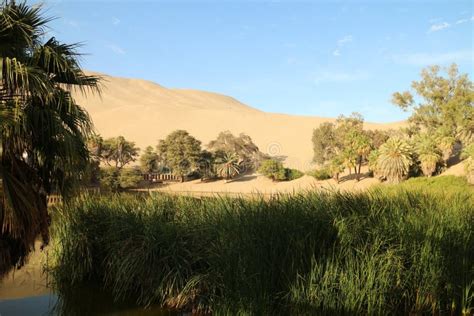 Huacachina Un Oasis En Medio Del Desierto Peruano Imagen De Archivo