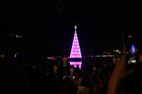 Árvore de Natal do Ibirapuera 57 metros é inaugurada neste sábado