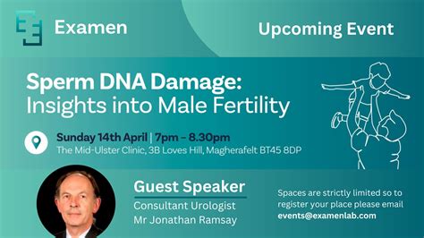 Sperm Dna Damage Insights Into Male Fertility Examen