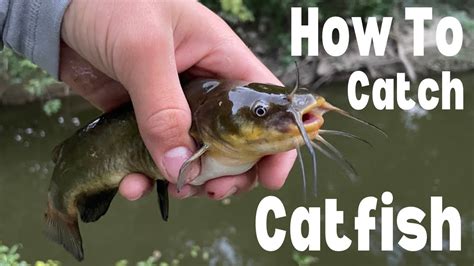 The EASIEST Way To Catch TONS Of Catfish How To Catch Catfish YouTube