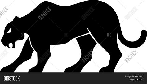 Panther Silhouette Vector & Photo | Bigstock