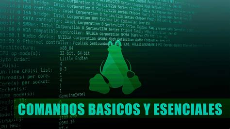 Comandos Básicos Y Esenciales De Linuxunix Esgeeks