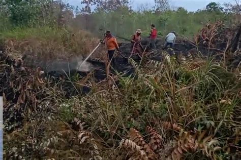 Berjibaku Padamkan Api Karhutla Di Sungai Bakau Radarsampit