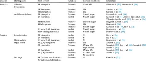 Functions Of Strigolactones In Regulation Of Root Growth And