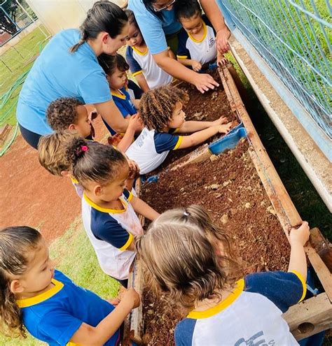 Projeto Comer Para Poder Crescer Prefeitura Municipal De Terenos