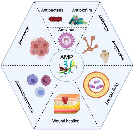 Frontiers Clinical Applications And Anticancer Effects Of