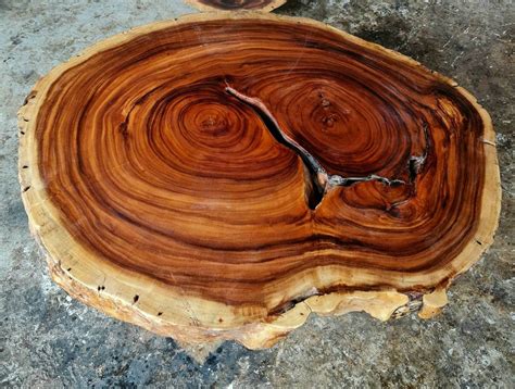 Coffee Table Round Live Edge Golden Acacia Wood Solid Cross Cut Slab