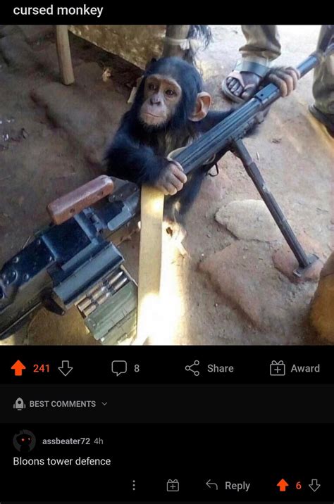 Sniper monkey irl : r/btd6