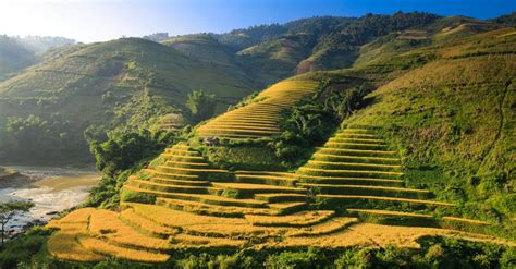 Aerial View Photography of Rice Field · Free Stock Photo