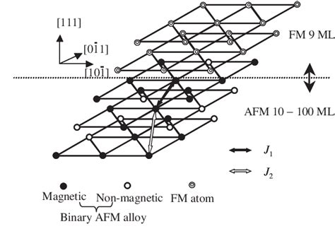 Figure 1 From Uncompensated Spin Elements In Ferromagnetic And