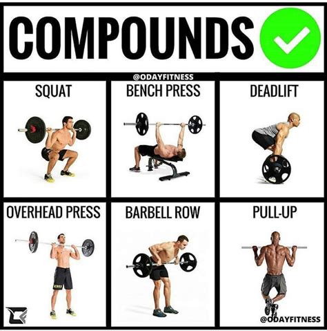 Your Best Basic Compound Movements To Achieve The Best Results In