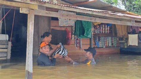 Ribuan Rumah Di Kutai Barat Kaltim Terendam Banjir Akibat Meluapnya