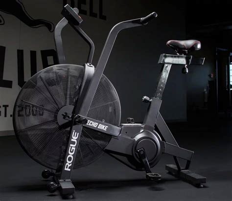 Rogue Echo Bike Versus Schwinn Airdyne Pro Fit At Midlife