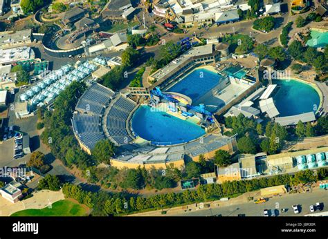 Aquarium Marine Park San Diego Seaworld Show Tourist Attraction Travel