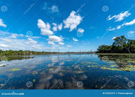 Angkor Wat Baray Stock Image Image Of Architecture Cambodia 83352475