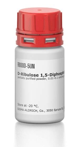 D Ribulose 15 Diphosphate Carboxylase Partially Purified Powder Main