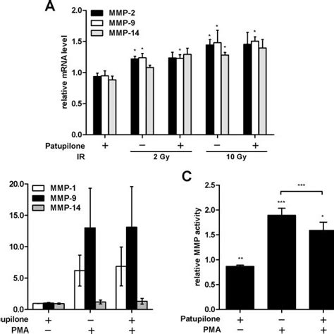 Patupilone Does Not Affect MMP Transcription A MMP MRNA Levels In