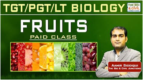 Pgt Lt Gic Kvs Nvs Jssc Cg Mp Biology Fruits Paid Class By