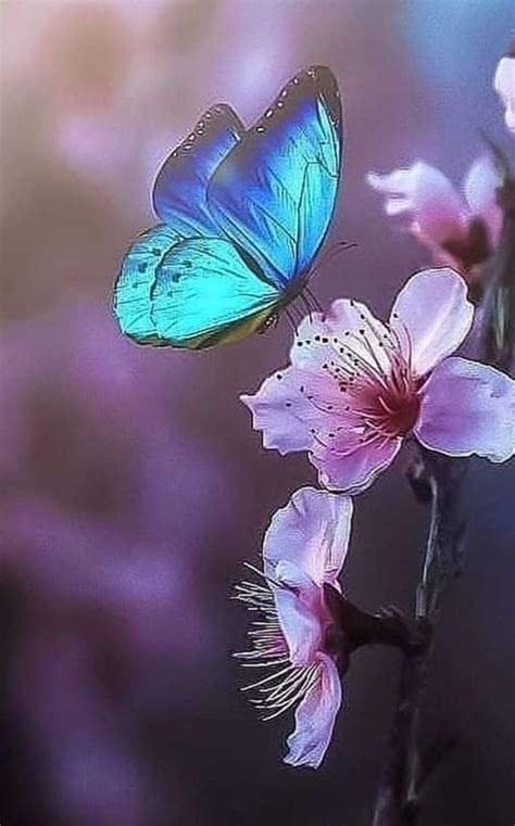 Pin by Liliane Arès on Butterfly in 2022 Beautiful fantasy art