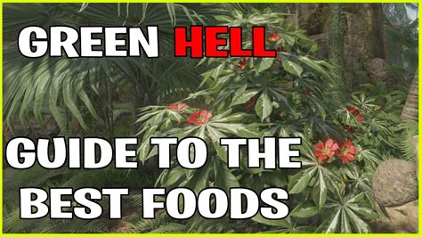 Green Hell Best Food Guide YouTube