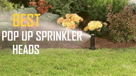 5 Best Pop Up Sprinkler Heads For Low Water Pressure Small Lawn Flower Beds And Shrubs [review