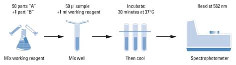 Thermo Scientific Dosage des protéines Pierce BCA Kits de dosage de