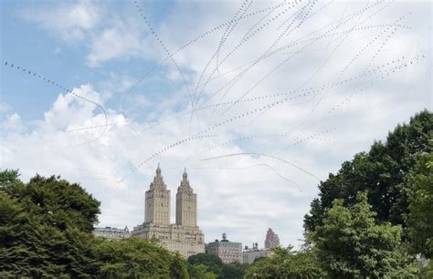 Lockdown Swallows Central Park Clamp